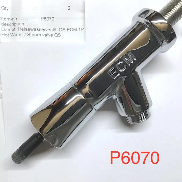 Parts & Repair ECM Steam And Hot Water Assembly Parts & Repair ECM Steam And Hot Water Assembly