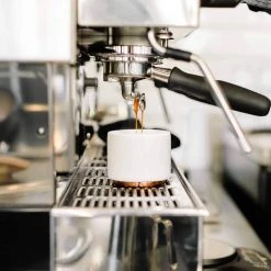 Fellow Monty Cups 27 Fellow Monty Cups