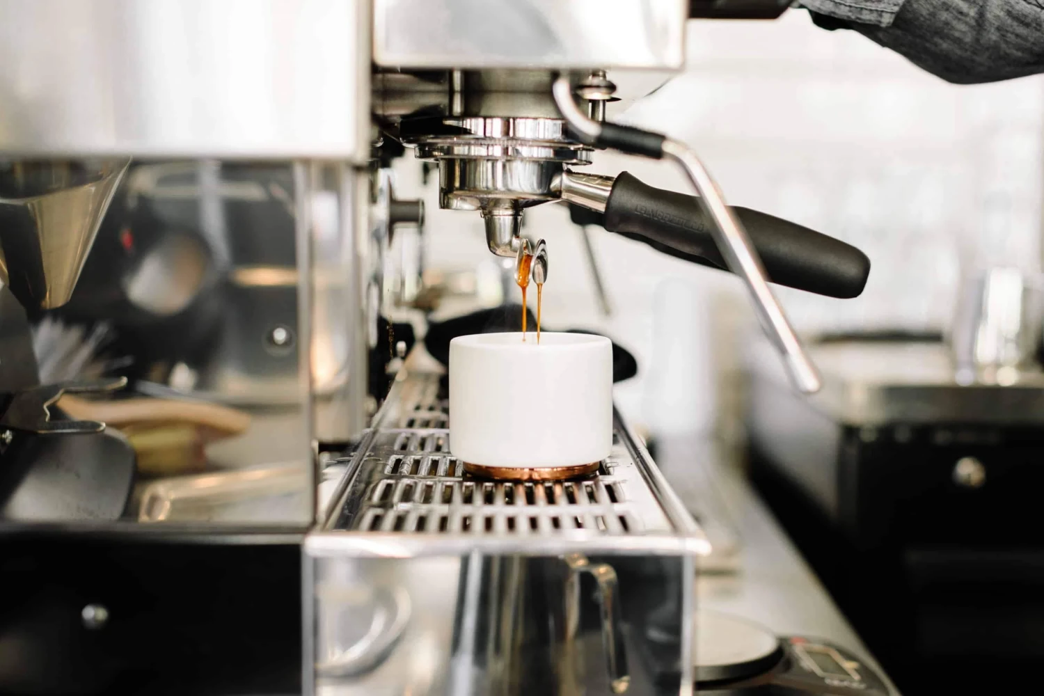 Fellow Monty Cups 13 Fellow Monty Cups