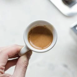 Ancap Verona Cups 13 Ancap Verona Cups